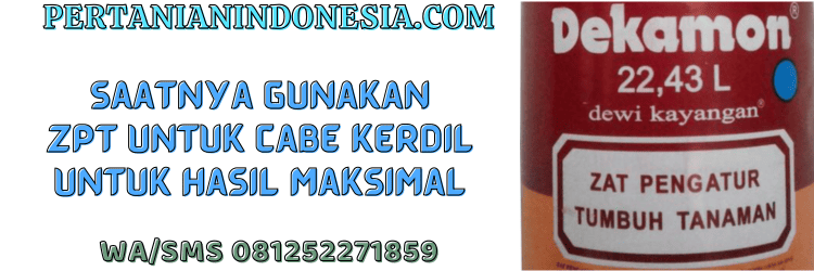jual,murah,terjangkau,toko pertanian terdekat,pertanian indonesia